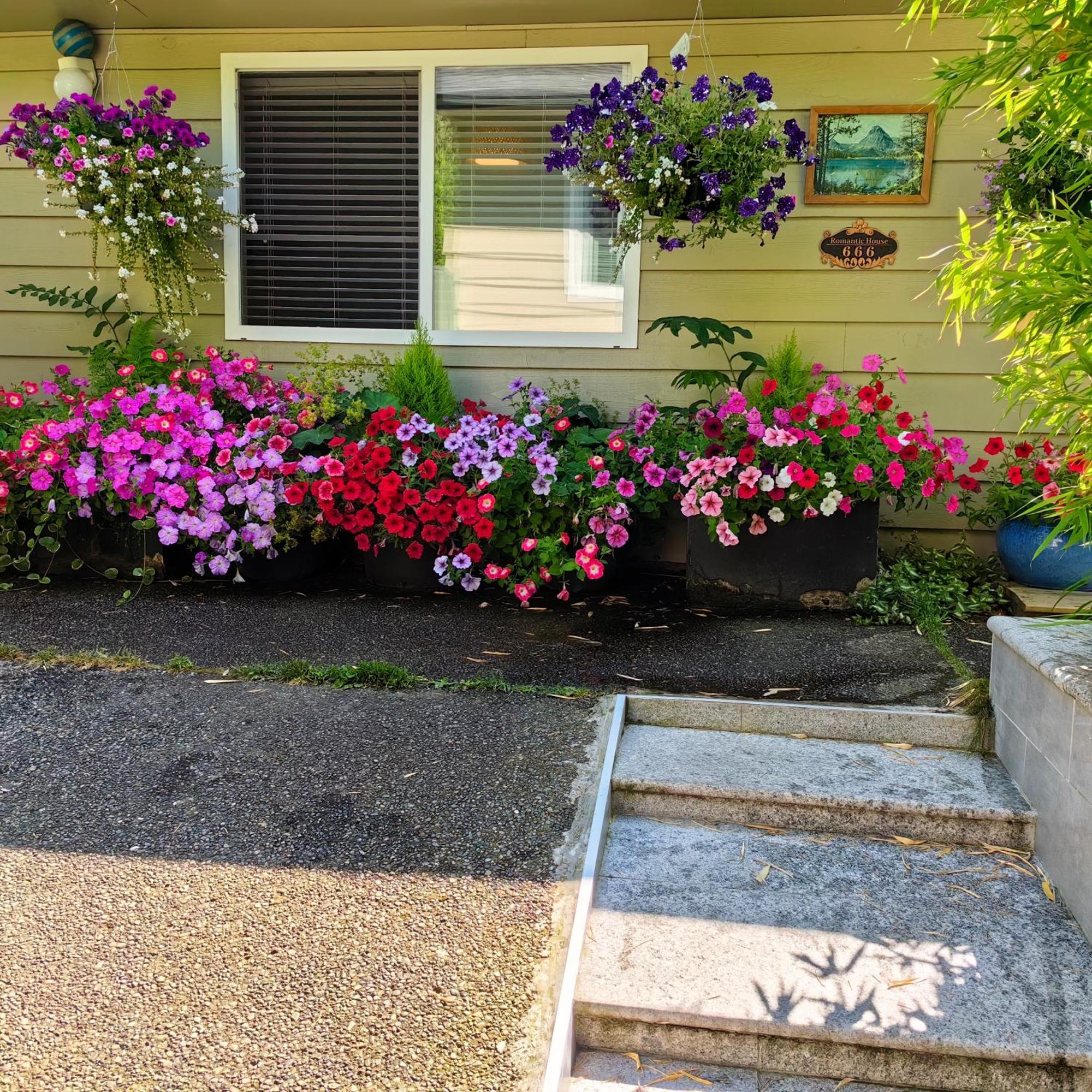 Romantic Homestay Coquitlam Bagian luar foto